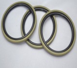 GH Piston Seal (Glydring)