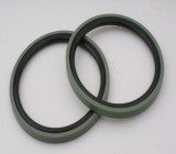 GH Piston Seal (Glydring)